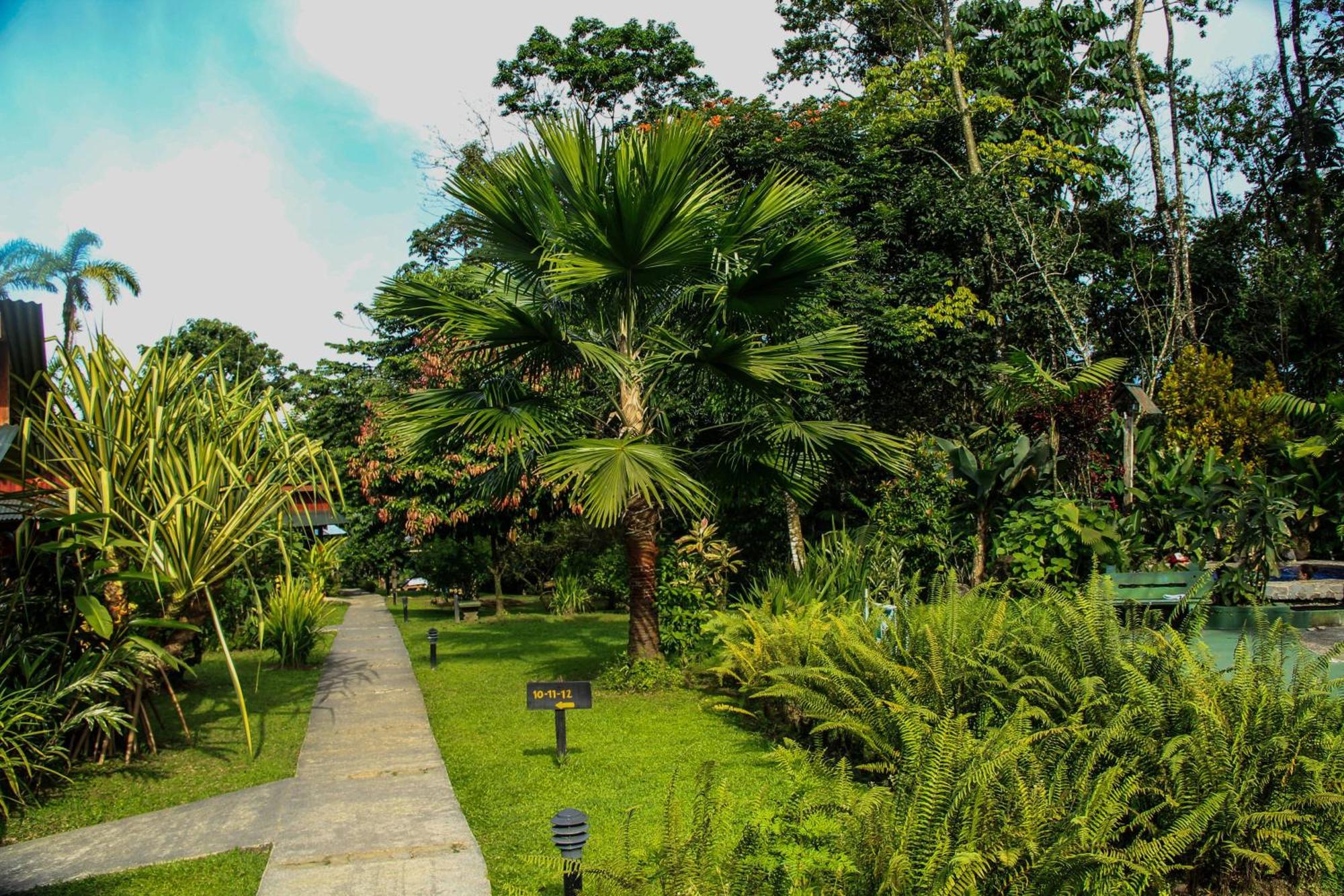 Catarata Eco Lodge La Fortuna Bilik gambar
