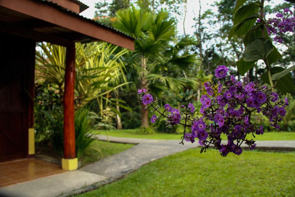 Catarata Eco Lodge La Fortuna Luaran gambar