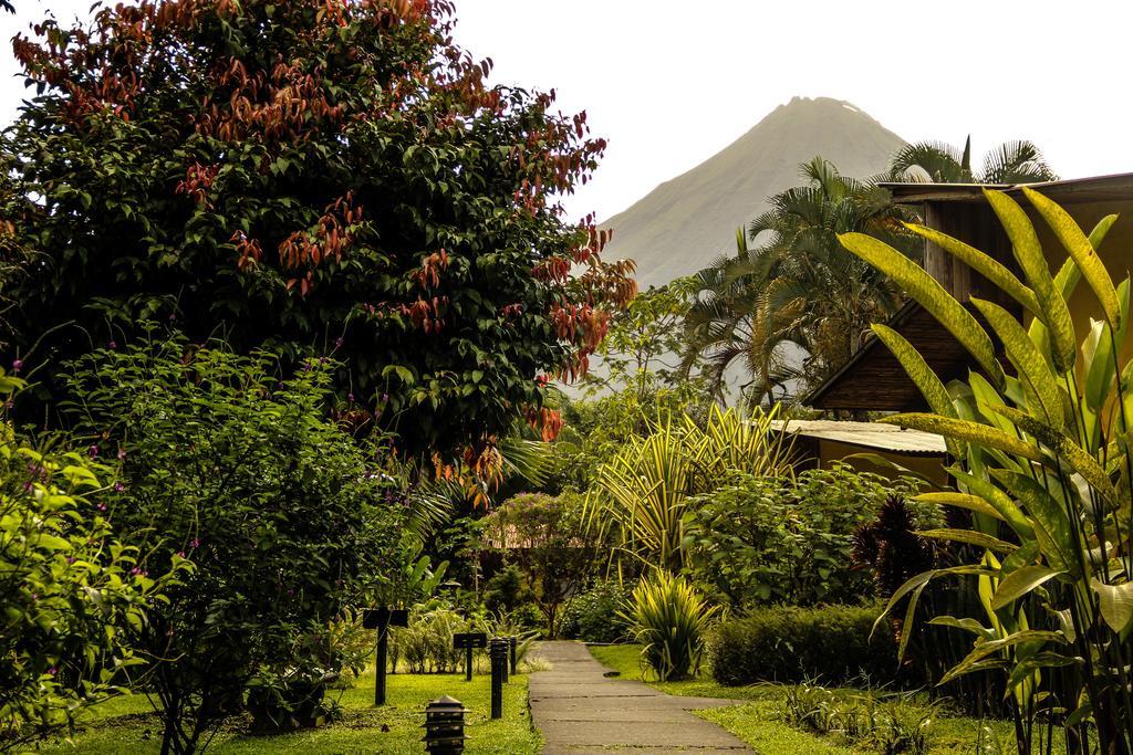 Catarata Eco Lodge La Fortuna Luaran gambar